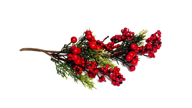 istock Artificial red flowers and green leaves, isolated 1300778118