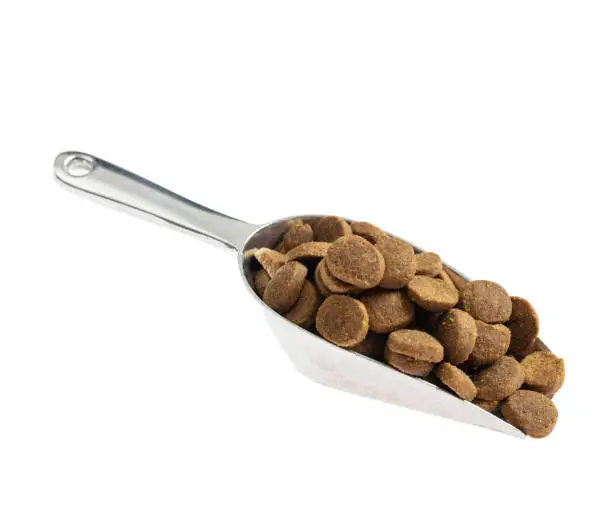 Pet food dry kibbles for cats or dogs. Scoop full with domestic animal food cut out and isolated on white background, close up view
