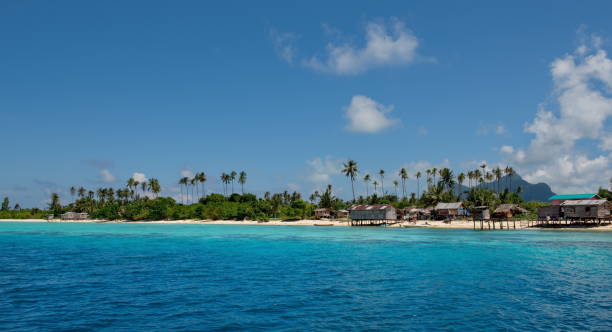 istock Palm Islands of coral reefs 1300781425