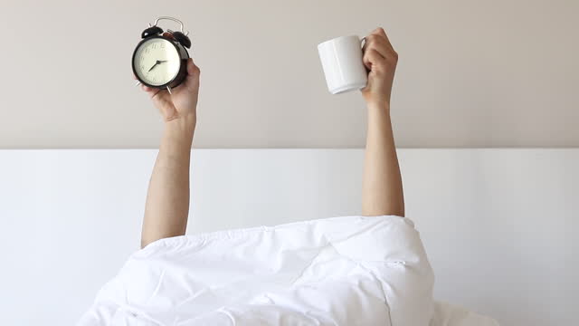 Man showing arm raised up holding coffee cup and black alarm clock behind duvet in the bed room, Young boy with two hands sticking out from the blanket. wake up with fun in morning concept.