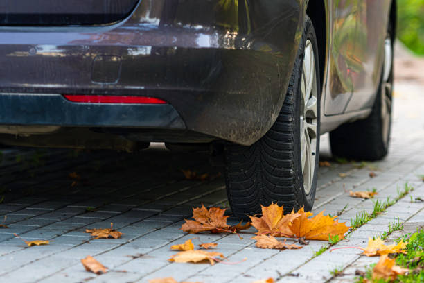 istock fallen leaves on the pavement near the car 1300786528