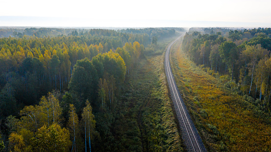 aerial view of railroad in forest at foggy autumn morning