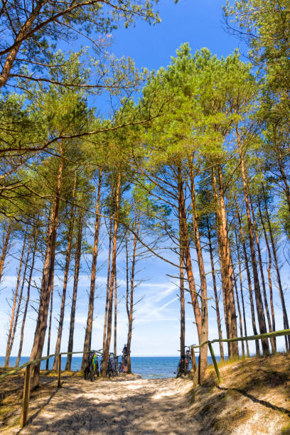 istock Vacations in Poland - Baltic seashore in Pogorzelica 1300790189