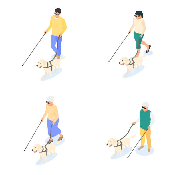 ilustrações, clipart, desenhos animados e ícones de grupo de cegos isolados com uma bengala e um cão-guia em um fundo branco. - eyesight senior adult care support