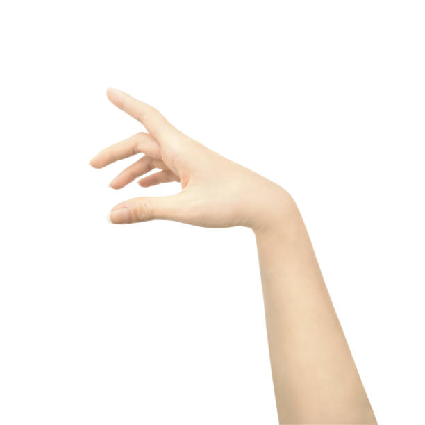 istock Female hand reaches for something or points to something isolated on a white background 1300794646