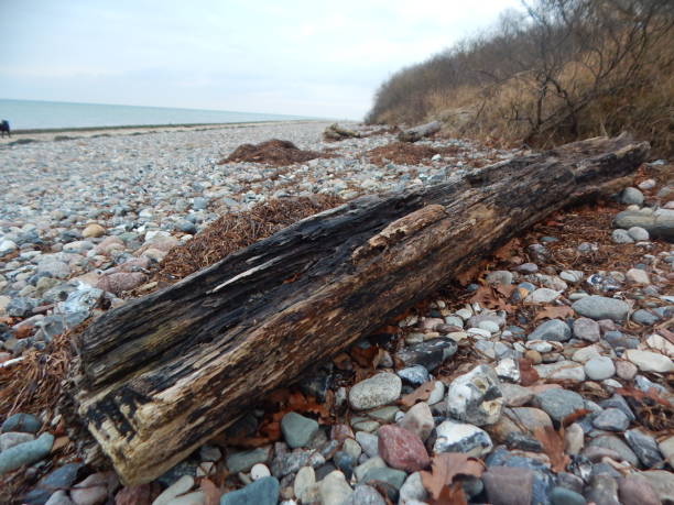 istock On the Baltic Sea coast in winter 1300794801