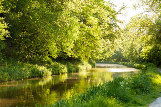 istock A view along the met and Avon Canal in summer 1300798003