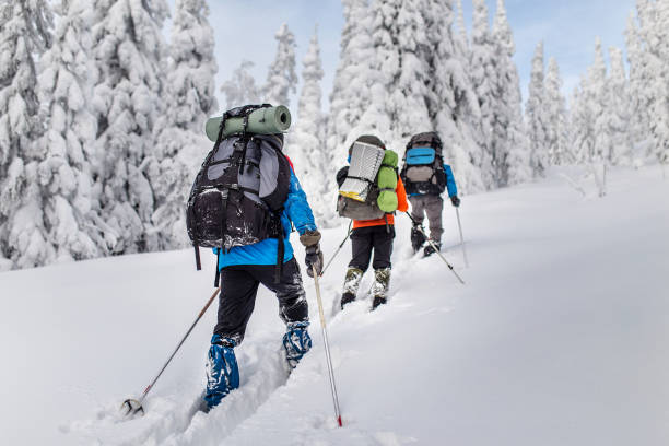 grupa narciarzy wędrówki z plecakiem w górach zimowych i lasach - skiing winter snow mountain zdjęcia i obrazy z banku zdjęć