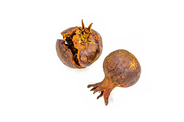 istock Garnet. Naturally dried fruit during growth under the hot sun. Beautiful texture. Cracks. Art object. A symbol of happiness, wealth, harmony. 1300801411
