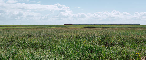 linha de trem hindenburg em direção a sylt - hindenburg - fotografias e filmes do acervo