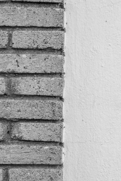 image of stone wall in rural environment, black and white image