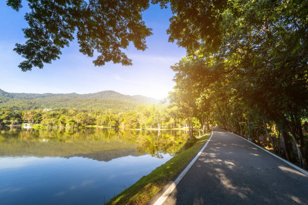 asfalto nero grigio strada paesaggio paesaggio vista lago presso l'università ang kaew chiang mai nella foresta naturale vista sulle montagne sfondo cielo blu primavera con nuvola bianca. - black forest forest sky blue foto e immagini stock