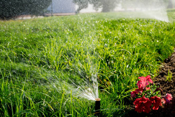 istock Automatic sprinkler watering system in the garden 1300807723