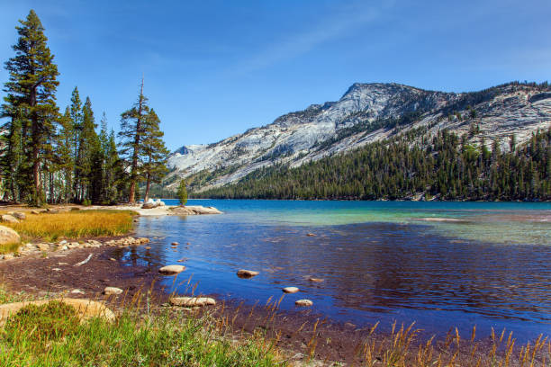 istock Sun glare in the transparent water 1300808637
