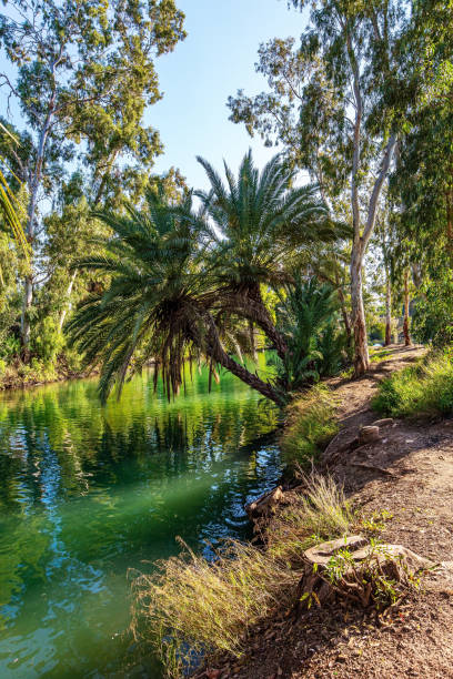 istock Wonderful walk along the river 1300808679