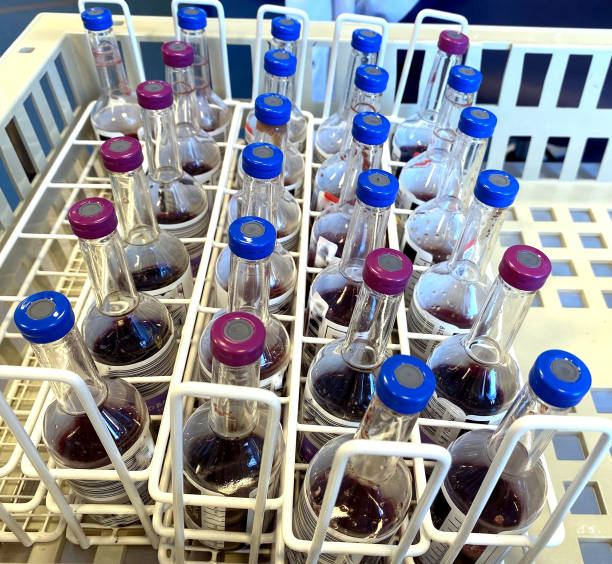 panier de bouteilles de culture de sang. les cultures sanguines sont des tests médicaux de laboratoire utilisés pour détecter les bactéries ou les champignons dans le sang du patient. - fungus science bottle glass photos et images de collection