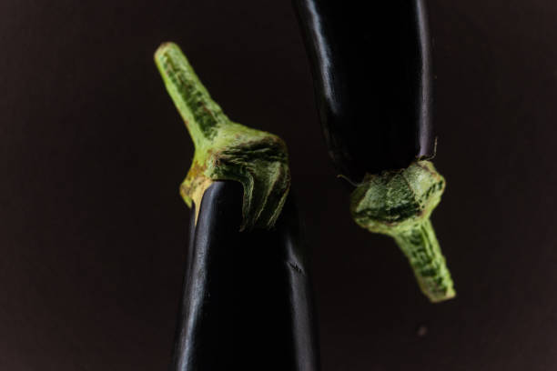 Ripe eggplant on the dark background. Raw vegan ingredients