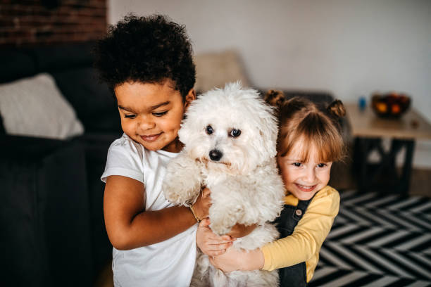 istock He is our best friend 1300811182