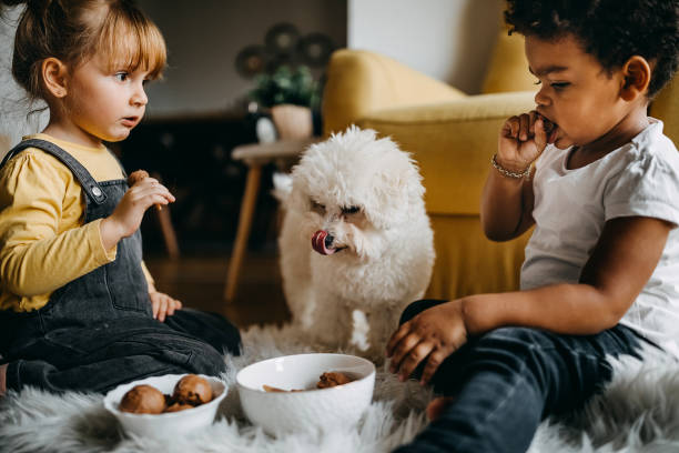 It's sweet like you Kidd sitting in living room, eating snacks from bowl and spending time with dog boys bowl haircut stock pictures, royalty-free photos & images