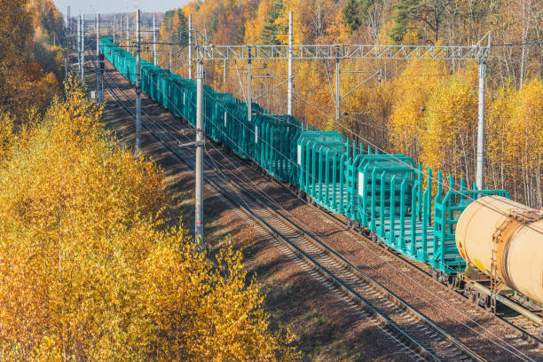 Long freight train approaches to the station at autumn day time.