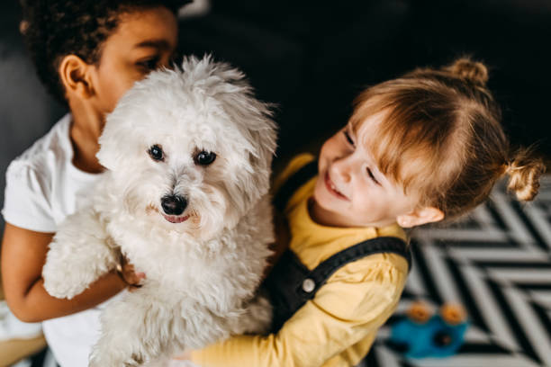 istock He is our best friend 1300812666
