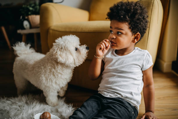 It's sweet like you Kid sitting in living room, eating snacks from bowl and spending time with dog boys bowl haircut stock pictures, royalty-free photos & images