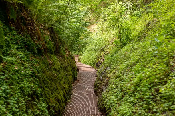 Hiking trail in the Drachenschlucht, Dragon Gorge near Eisenach, Thuringia