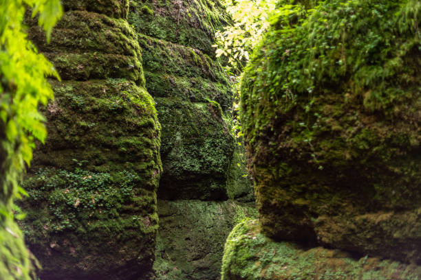 Narrow hiking trail, footpath between moss covered rocks in the Drachenschlucht, Dragon Gorge near Eisenach
