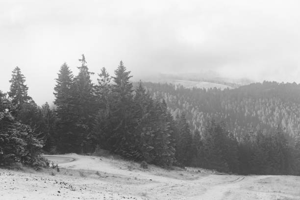 istock Black and white landscape in the mountains 1300815185
