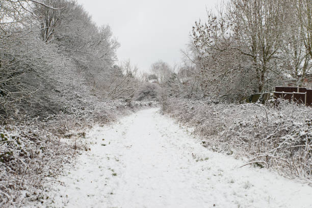 istock snow covered bank, looking up towards trees 1300816645