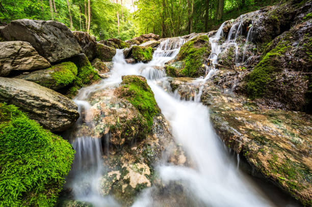 Smooth Cascades in the forest with rocks and moss