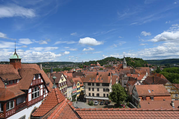 istock View over Tuebingen on a sunny day 1300819600