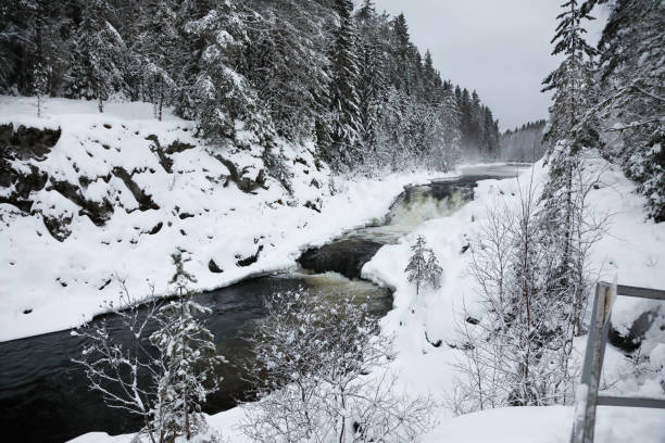 istock Waterfall Kivach in Karelia, Russia 1300819857