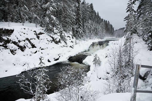 Frozen waterfall and stream in winter mountain gorge