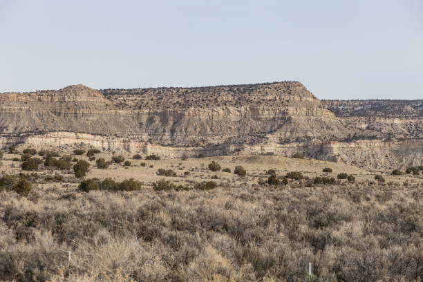 istock Large open grassy field with mountain range in back on clear day in rural New Mexico 1300823037