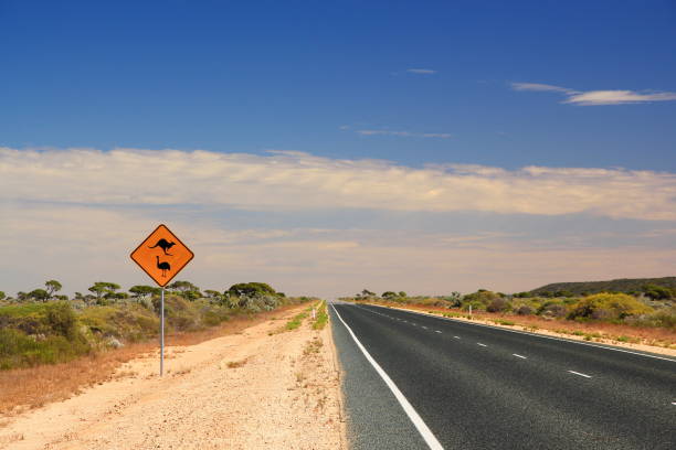 Australian road sign on the highway Travelling across the Australian outback kangaroo crossing sign stock pictures, royalty-free photos & images