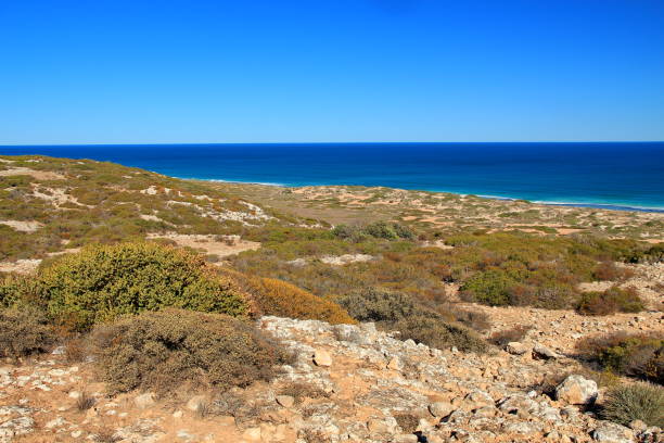 istock Australian coastline with the Southern Ocean 1300824508