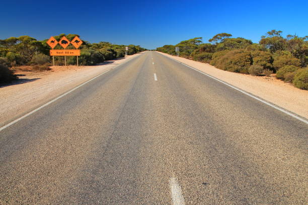 istock Australian road sign on the highway 1300825248