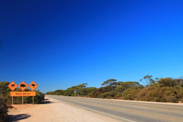 istock Australian road sign on the highway 1300825358