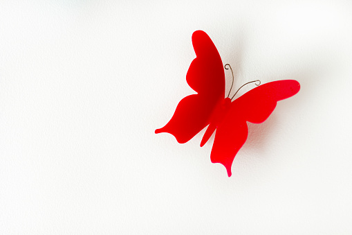 White background with a red butterfly and space for text or advertising