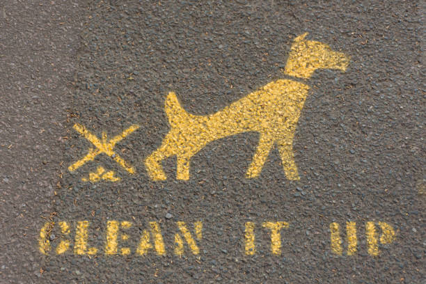 a uk no dog poop sign