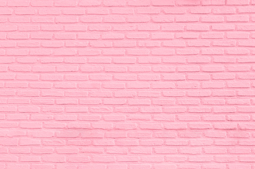 Pink Color Pictures [HD] | Download Free Images on Unsplash