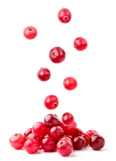 Photo of Cranberries fall on a pile on a white background, levitating cranberries. Isolated
