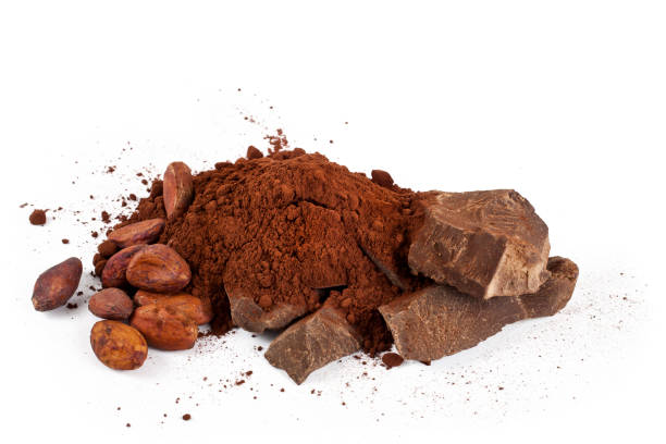istock Cocoa beans with cacao powder and cocoa pieces 1300830429