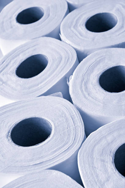 istock Toilet paper rolls in monochrome blue 1300830517