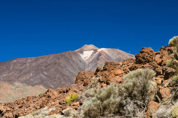 istock Lava Rocks and Pico del Teide, Tenerife, Spain 1300833025