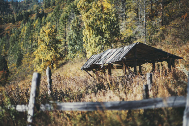 stalla in legno o rifugio, montagne - dugout foto e immagini stock