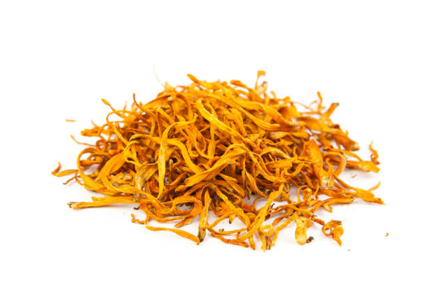 istock Dried cordyceps militaris mushroom 1300835374