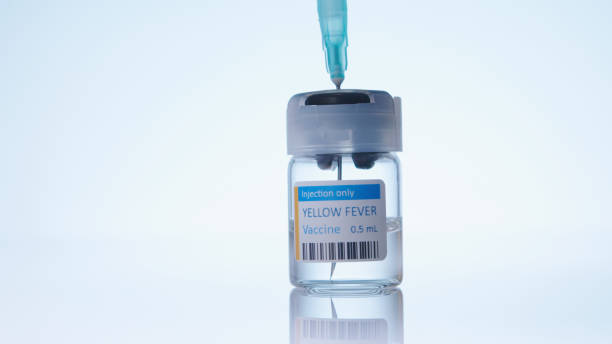 istock Yellow fever vaccine 1300835492