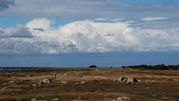 istock Clouds over a grass landscape at the ocean 1300835948